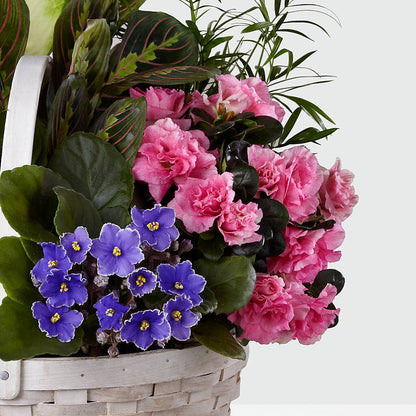 Peaceful Garden Planter –  Nacogdoches Floral Company, Nacogdoches TX