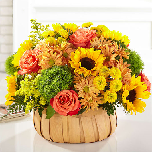 Harvest Sunflower Basket –  Nacogdoches Floral Company, Nacogdoches TX