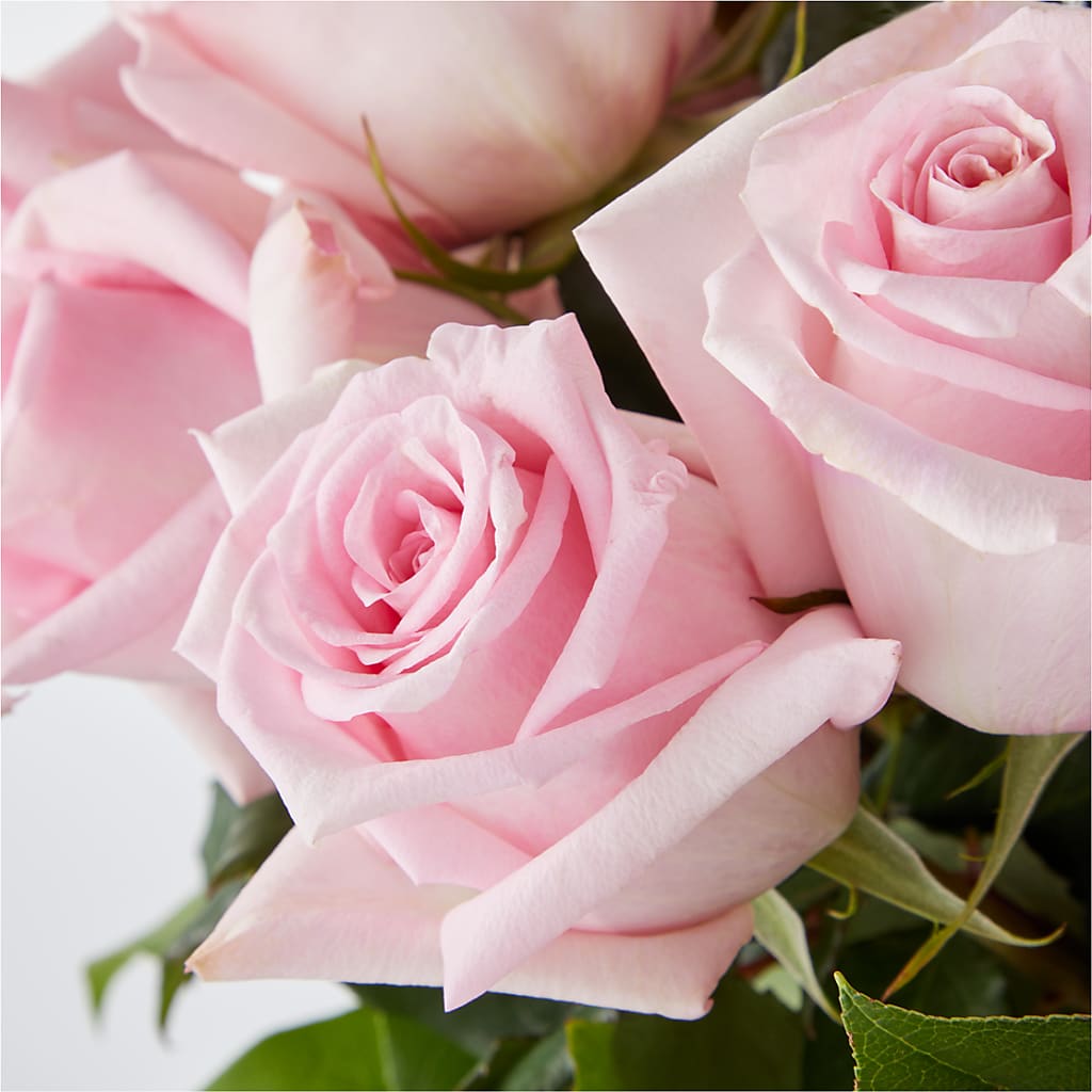 Picture Perfect Pink Rose Bouquet –  Nacogdoches Floral Company, Nacogdoches TX