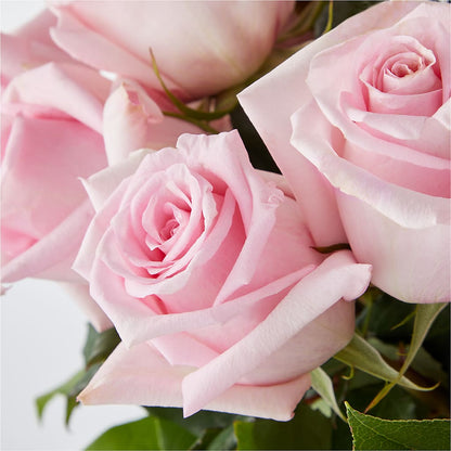 Picture Perfect Pink Rose Bouquet –  Nacogdoches Floral Company, Nacogdoches TX