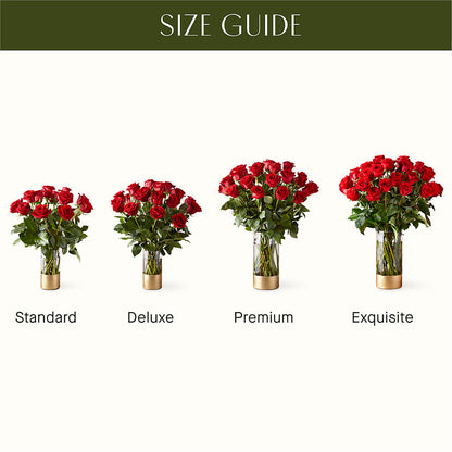 Classic Love Red Rose Bouquet –  Nacogdoches Floral Company, Nacogdoches TX