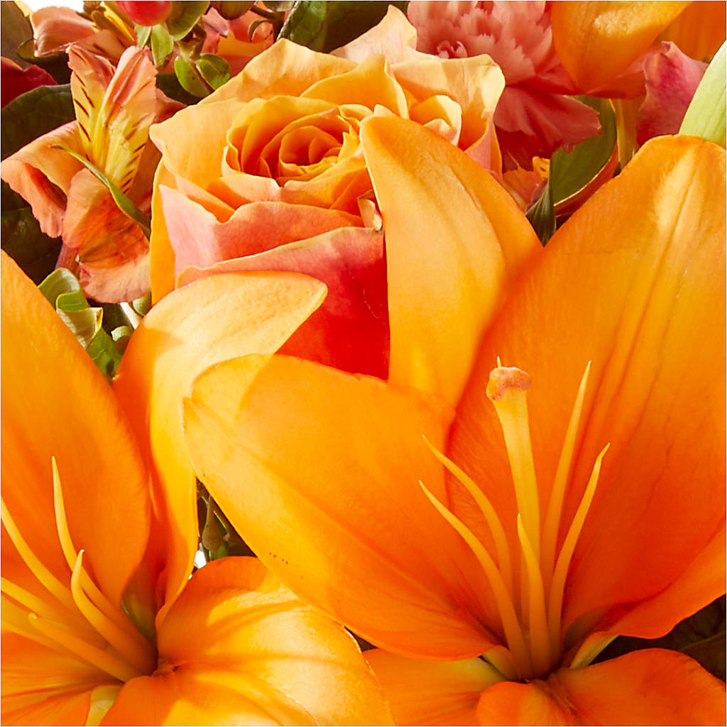 Afternoon Light Bouquet –  Nacogdoches Floral Company, Nacogdoches TX