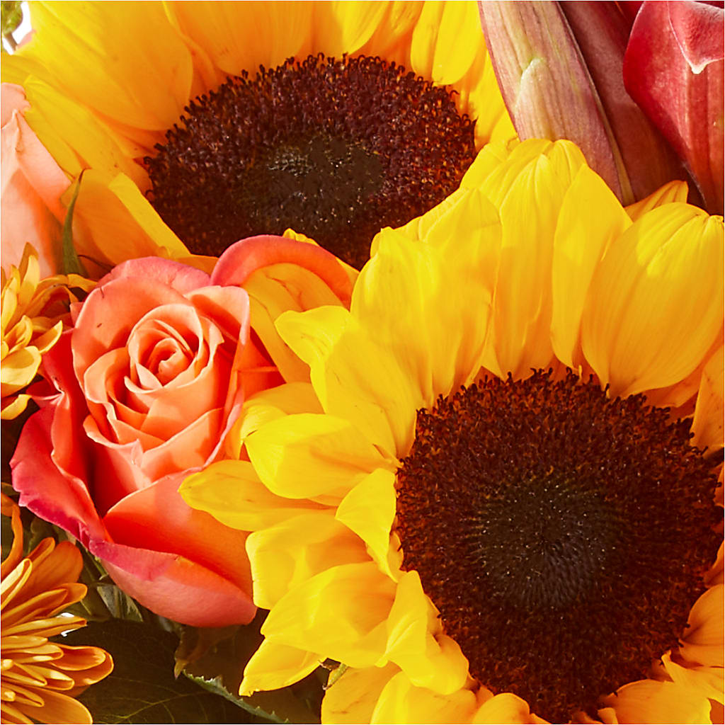 Acorn Lane Bouquet –  Nacogdoches Floral Company, Nacogdoches TX