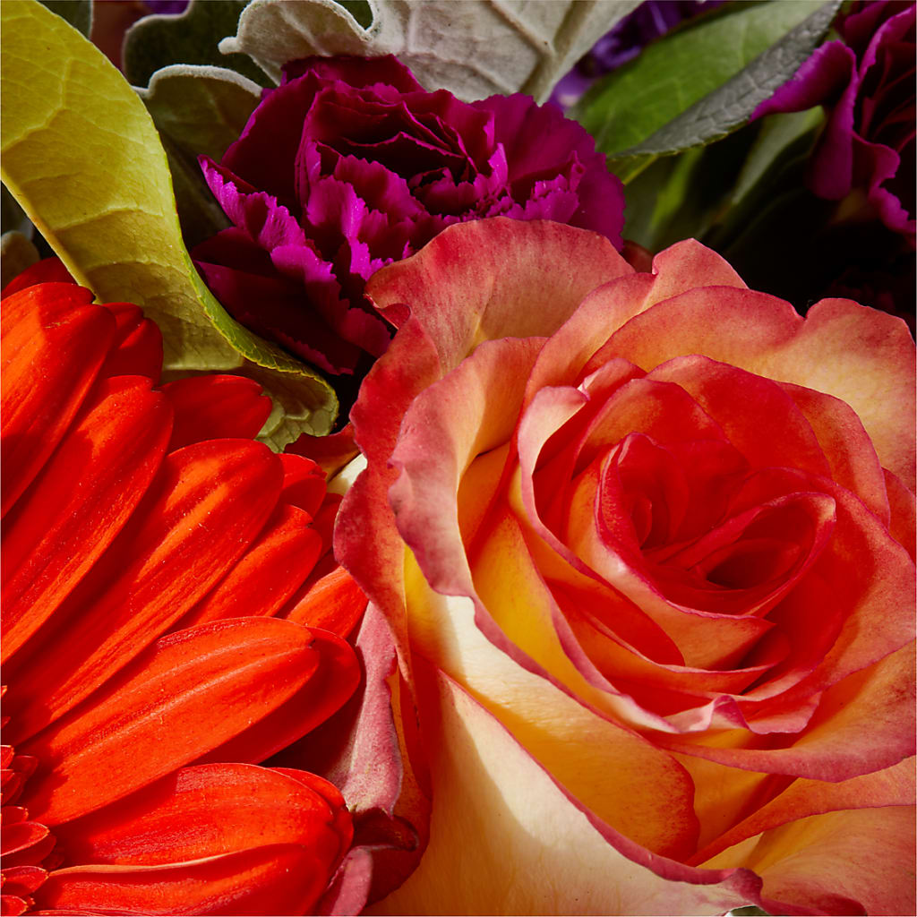 Sangria Bouquet –  Nacogdoches Floral Company, Nacogdoches TX