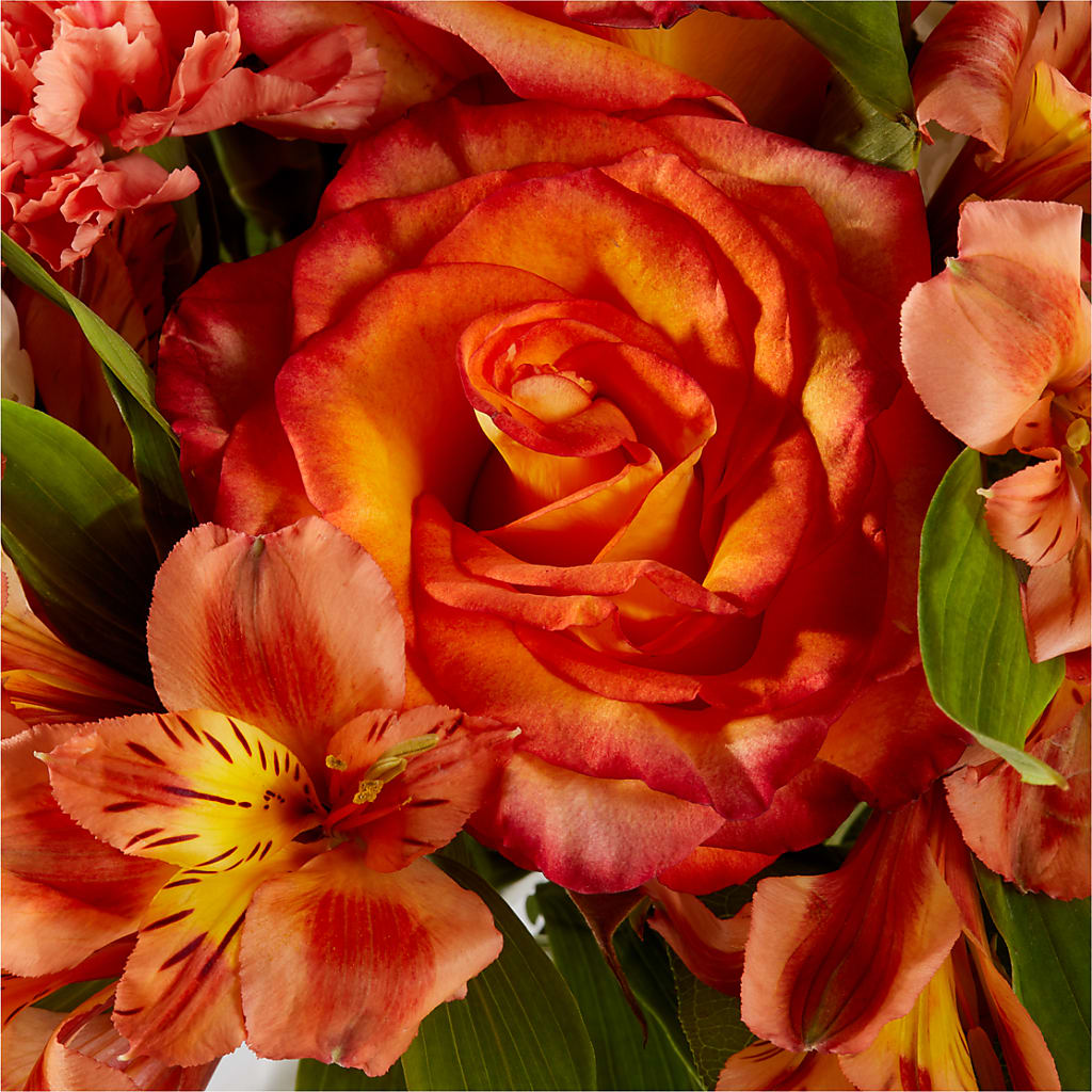 Apricot Glow Bouquet –  Nacogdoches Floral Company, Nacogdoches TX