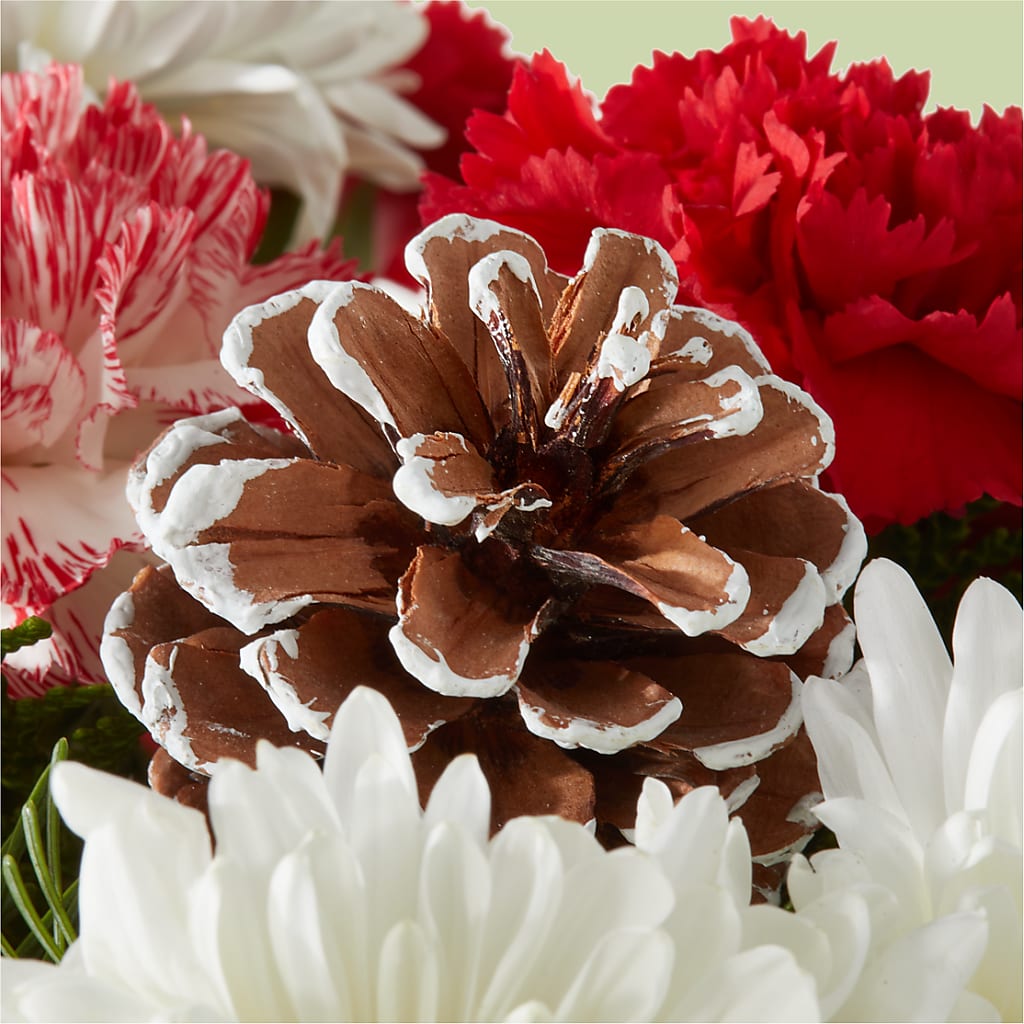 Candy Cane Lane Bouquet –  Nacogdoches Floral Company, Nacogdoches TX
