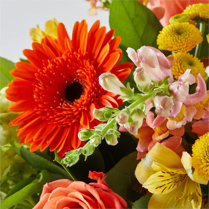 Autumn Sunshine Bouquet –  Nacogdoches Floral Company, Nacogdoches TX