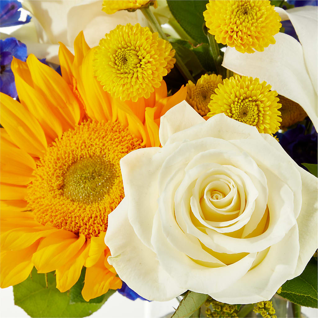 Stargazing Bouquet –  Nacogdoches Floral Company, Nacogdoches TX