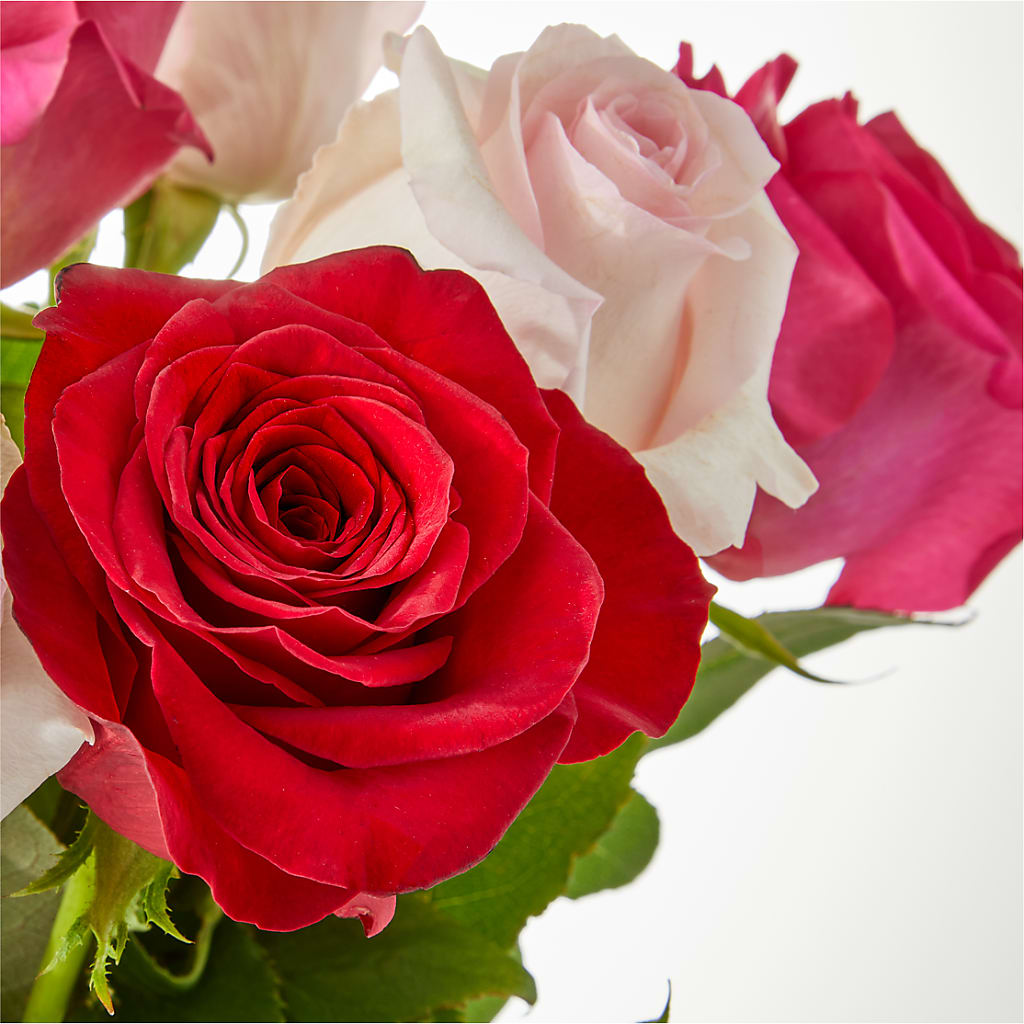 Charming Rose Bouquet –  Nacogdoches Floral Company, Nacogdoches TX