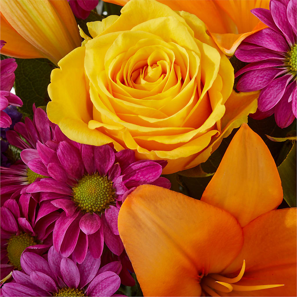 Colorful Visions Bouquet –  Nacogdoches Floral Company, Nacogdoches TX
