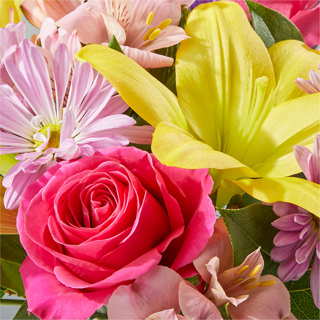 Sprinkles Bouquet –  Nacogdoches Floral Company, Nacogdoches TX