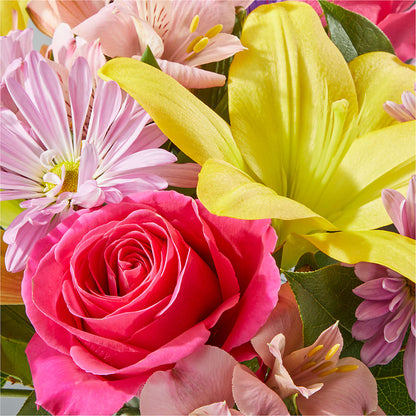 Sprinkles Bouquet –  Nacogdoches Floral Company, Nacogdoches TX