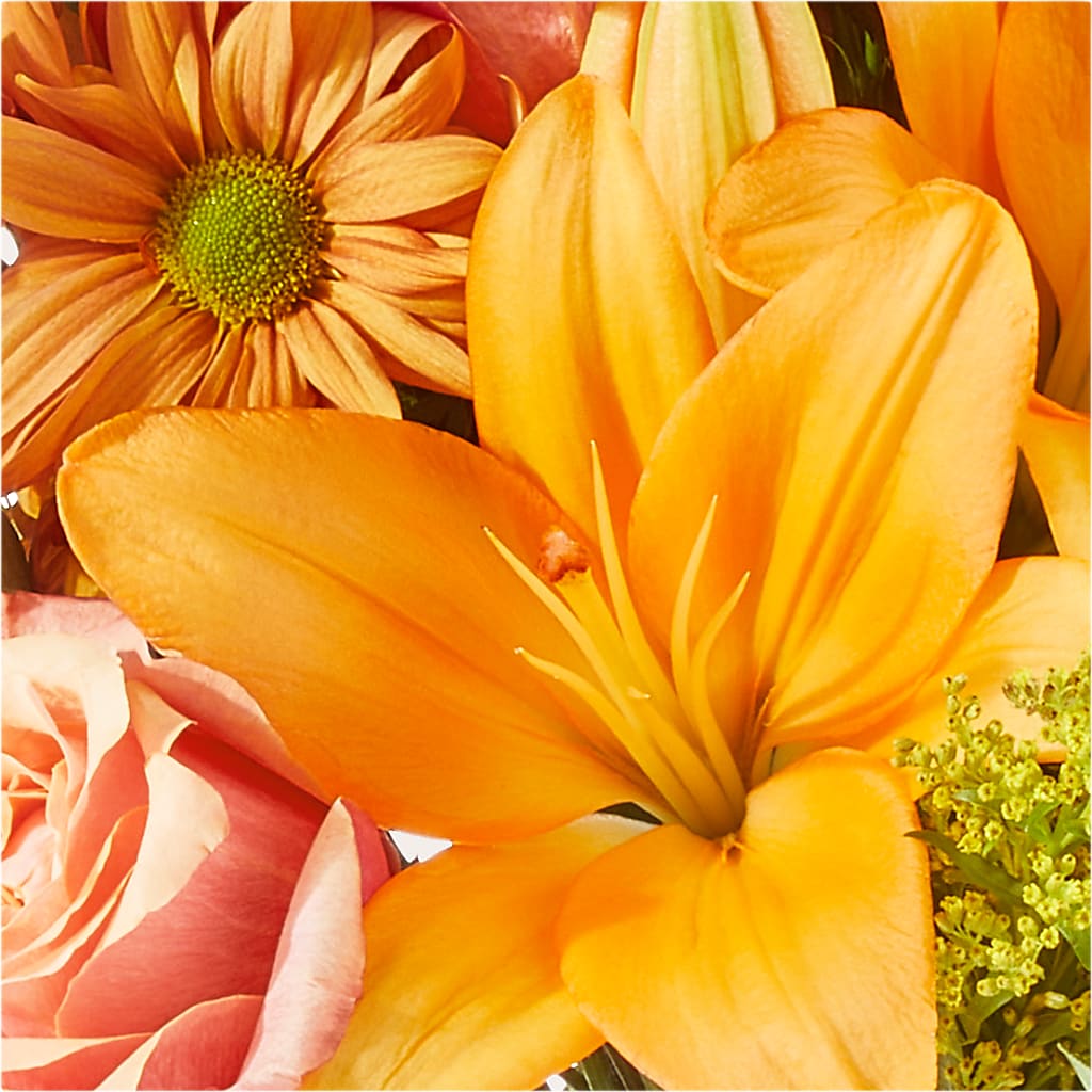 Harvest Hayride Bouquet –  Nacogdoches Floral Company, Nacogdoches TX