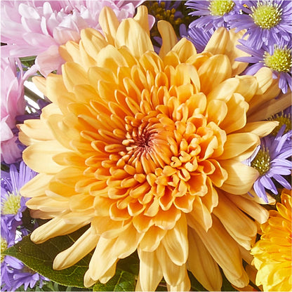 Countryside Bouquet –  Nacogdoches Floral Company, Nacogdoches TX