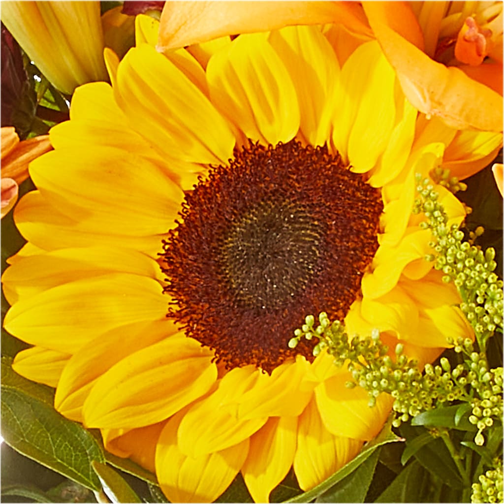 Seasons Change Bouquet –  Nacogdoches Floral Company, Nacogdoches TX