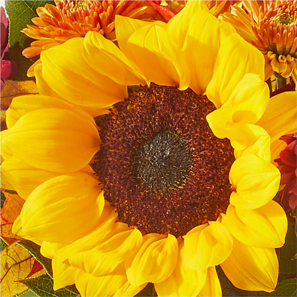 Sunny Side Bouquet –  Nacogdoches Floral Company, Nacogdoches TX