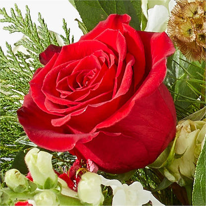 Deck the Halls Bouquet –  Nacogdoches Floral Company, Nacogdoches TX