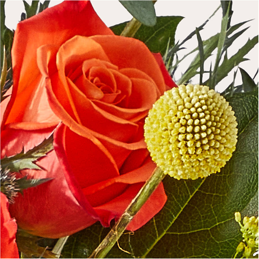 Disco Bouquet –  Nacogdoches Floral Company, Nacogdoches TX