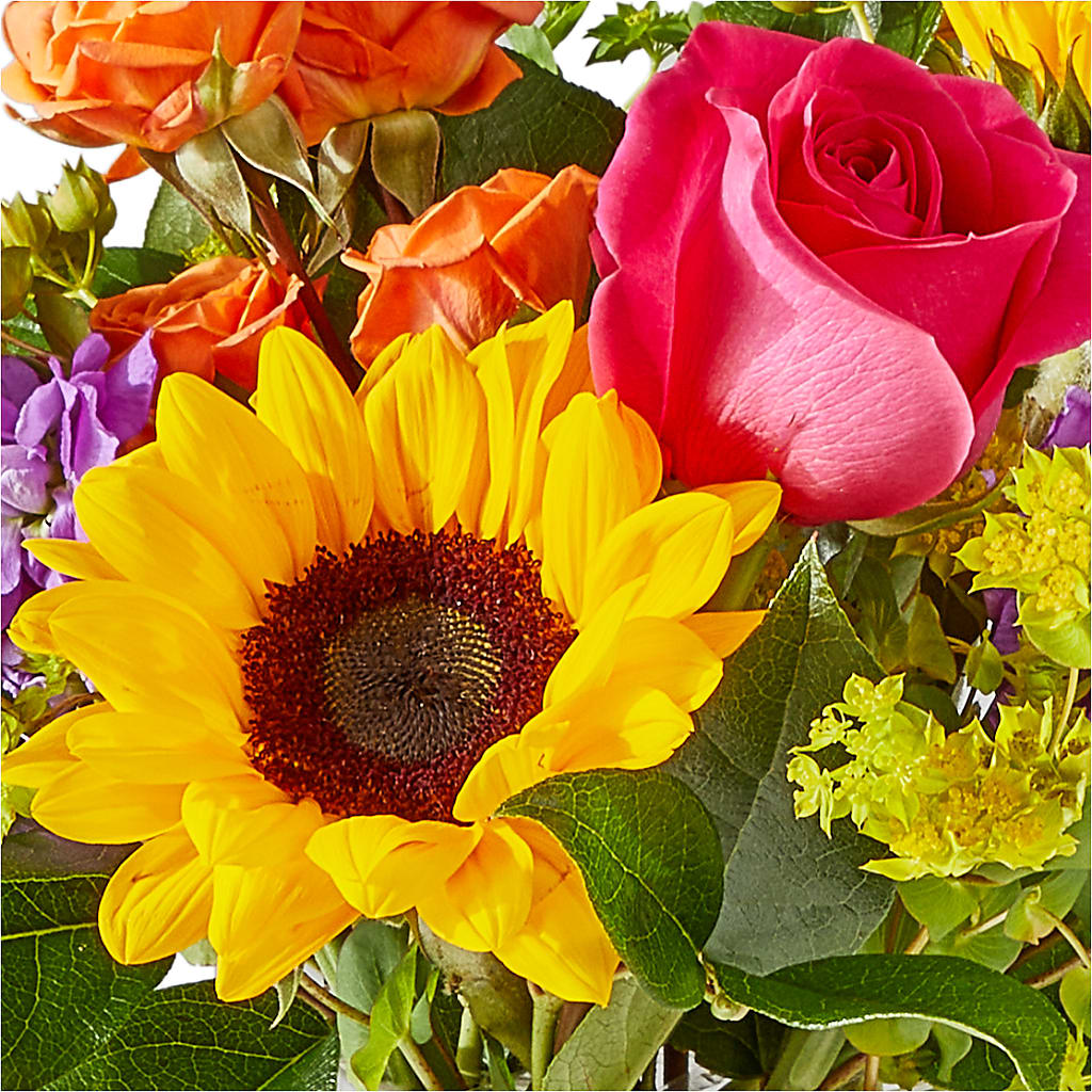 Vibrant Greetings Bouquet –  Nacogdoches Floral Company, Nacogdoches TX