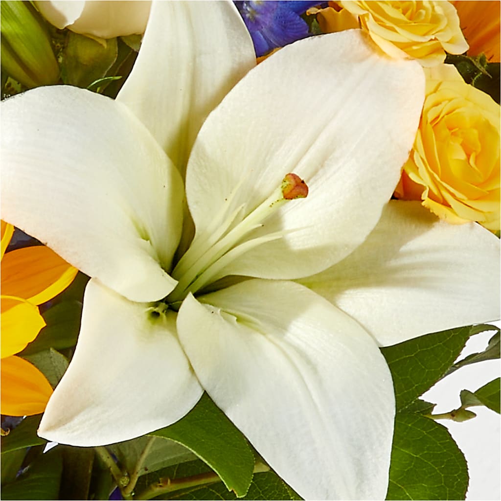 Wonderfully Sunny Bouquet –  Nacogdoches Floral Company, Nacogdoches TX