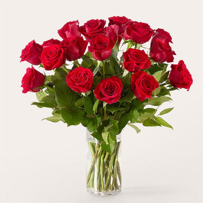 The One Red Rose Bouquet –  Nacogdoches Floral Company, Nacogdoches TX