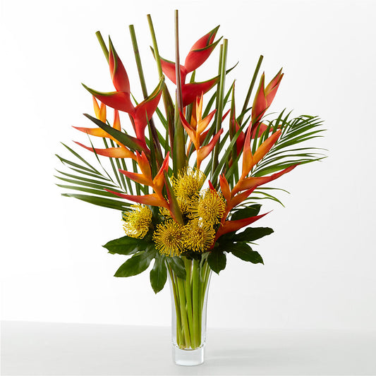 The Drama –  Nacogdoches Floral Company, Nacogdoches TX