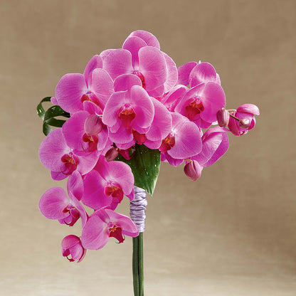 Glorious Bouquet –  Nacogdoches Floral Company, Nacogdoches TX
