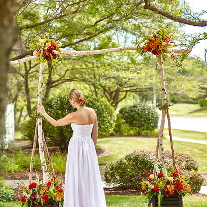 Arbor of Love Archway –  Nacogdoches Floral Company, Nacogdoches TX