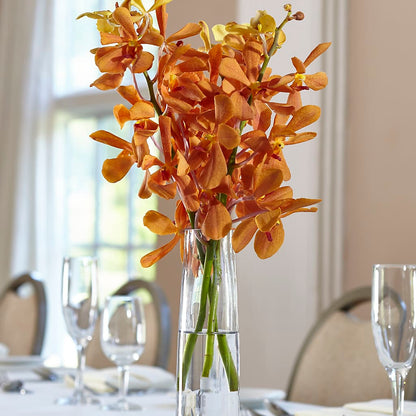 Orange Mokara Bud Vase –  Nacogdoches Floral Company, Nacogdoches TX