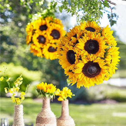 Sublime Garden Hanging Arrangement –  Nacogdoches Floral Company, Nacogdoches TX