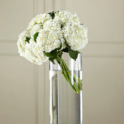 White Hydrangea Hand-Tied Bouquet –  Nacogdoches Floral Company, Nacogdoches TX