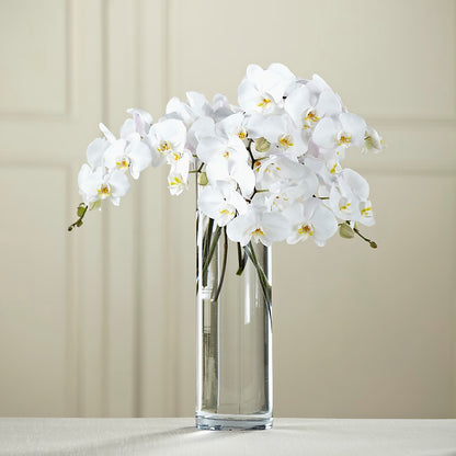White Phalaenopsis Bouquet –  Nacogdoches Floral Company, Nacogdoches TX