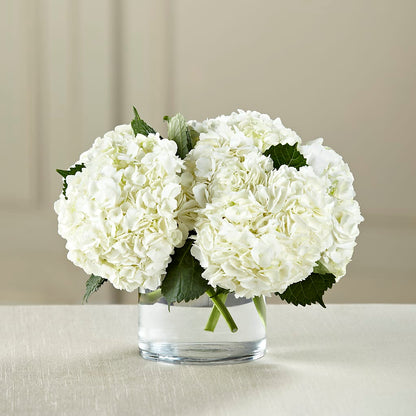 White Hydrangea Bouquet –  Nacogdoches Floral Company, Nacogdoches TX